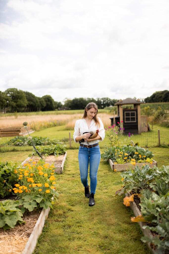 De Kippenpraktijk - Dierenarts voor kippen