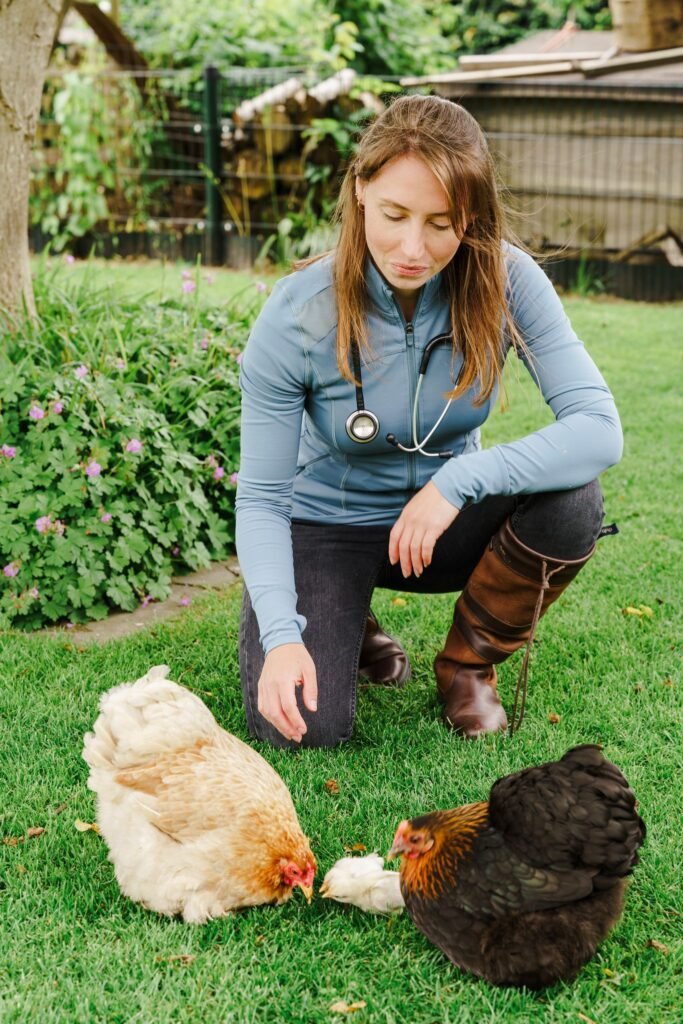De Kippenpraktijk - Dierenarts voor kippen 47